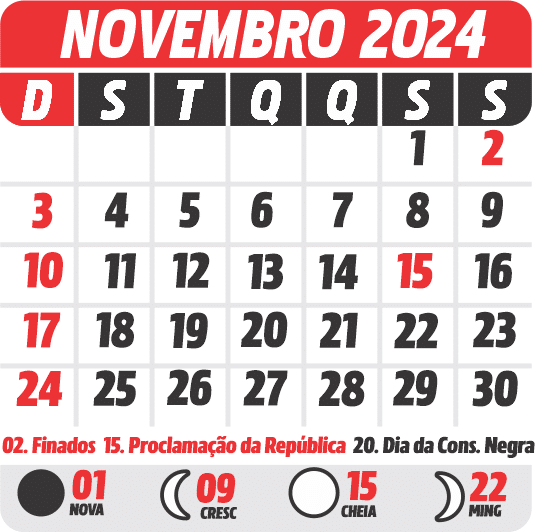 Calendário 2024 Novembro Imagem Legal